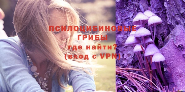 гидропоника Горно-Алтайск