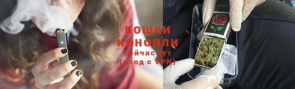 гидропоника Горно-Алтайск
